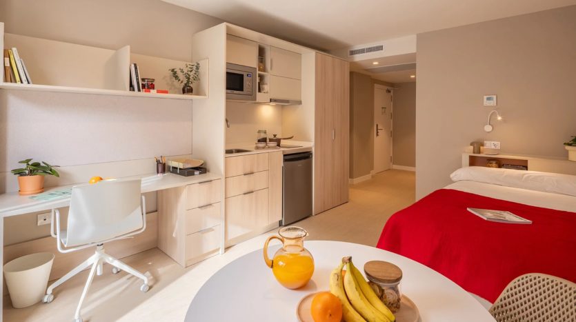 Residencia de estudiantes AMRO Valencia Puerto estudio premium con terraza