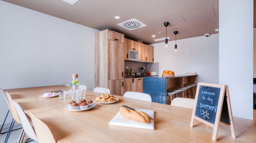 Residencia universitaria Granada Cartuja salón privado