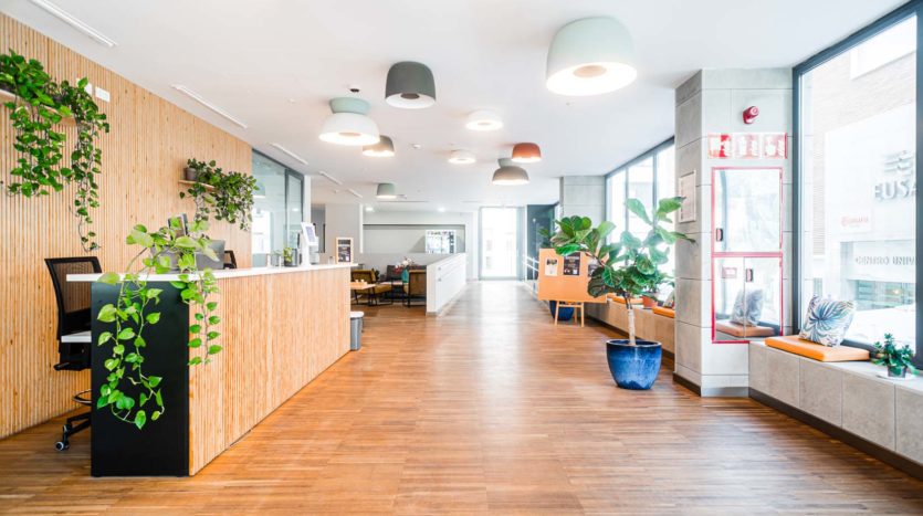 Residencia de Estudiantes Nido Porvenir Sevilla recepción